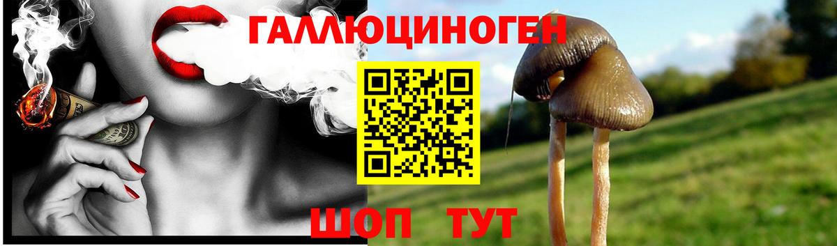 купить наркоту  Вход с VPN  Орехово-Зуево  Галлюциногенные грибы GOLDEN TEACHER 